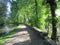 Summer on the canal towpath