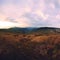 Summer Carpathian landscape