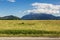 Summer carpathian landscape with green field and road