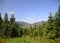 Summer carpathian mountain landscape. green hills rolling in to the distance.