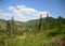 Summer carpathian mountain landscape. green hills rolling in to the distance.