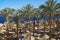 Summer chaise lounges under an umbrella on sandy sea beach and palms in hotel Egypt, Sharm el Sheikh, concept time to