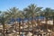 Summer chaise lounges under an umbrella on sandy sea beach and palms in hotel Egypt, Sharm el Sheikh, concept time to