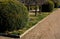 Summer chateau parterre with boxwood hedges honestly trimmed around which the path leads a path of beige compacted gravel. Boxwood