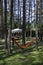 Summer child public bivouac with alcove and variegated hammock in the coniferous forest, near to Pasarel village