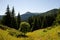 Summer on Chornohora mountain ridge in Carpathian mountains