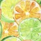 Summer Citrus background. Watercolor background.