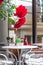 Summer cityscape - closeup view of roses on a background of a street cafe