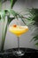 Summer cocktail with citrus on marble table and tropic plants on back. cocktail witg citrus