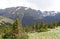 Summer in Colorado: Forest Canyon and Stones Peak Seen from Trail Ridge Road Near Ute Trailhead in Rocky Mountain National Park