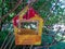 In the summer in a colorful birdhouse on a tree lies an ear of boiled corn.