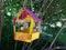 In the summer in a colorful birdhouse on a tree lies an ear of boiled corn.