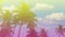 Summer with colorful theme as palm trees background