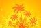 Summer composition, orange palm