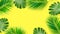 Summer composition. Tropical palm leaves on yellow background. Summer