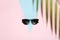 Summer concept background. Sunglasses on a colored sunny background. Flatlay minimal concept