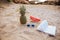 Summer concept image pineapple watermelon sunglasses and open book