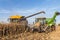 Summer corn harvest