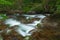 Summer, Cosby Creek Cascade