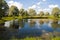 Summer country landscape with pond.