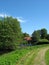 Summer country landscape with road