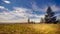 summer countryside. Beautiful landscape with a spruce on the right against a cloudy sky and grass in the foreground