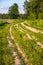 Summer countryside landscape. Deserted rural dirt road along the forest, Moscow suburbs, Russia.