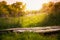 Summer countryside landscape with small pier