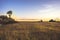 Summer countryside landscape sunset at golden summer flatland field with flowers and dramatic moody sky with moon golden hour