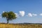 Summer countryside landscape  in Val d`Agri, Basilicata