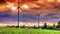 Summer countryside with wind turbines and agricultural field with grazing cows