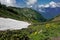 Summer day in the alpine meadows. In the valley there are yellow wildflowers, islands of snow