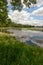 Summer Day in the Wetlands