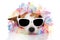 Summer dog wearing a floral hawaiian garland and sunglasses. Isolated on white background