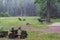 Summer downpour on an empty playground among the trees