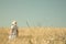 Summer dreams. Girl walking in a field of wheat with blue sky re