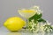 Summer drink Elderflower Lemonade