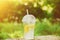 Summer Drink Lemonade with orange and mint in the plastic cup against vivid green background