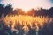 Summer Dry Autumn Grass In Sunset Sunrise Sunlight. Meadow Lands