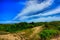 Summer Dunes on Plum Island Beach