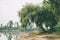 Summer or early autumn park with pond or river and weeping willow trees on the shore