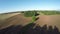 Summer end morning shadows on freshly sowed farm field, aerial view