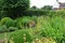 Summer English country garden