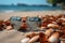 Summer essentials sunglasses and seashell resting on sand