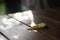 Summer evening, fallen discolored leaf on a wooden table