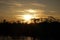 Summer evening giant hogweed sunset on waters near Grou in Friesland