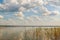 Summer evening on lake Svitiaz Svitiaz, Shatsky National Natura