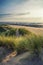 Summer evening landscape view over grassy sand dunes on beach wi