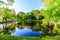 Summer evening in the Park with a lake. Summer landscape. nature of Russia. Well-maintained Park. Evening smoothness. The