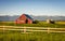 Summer evening with a red barn in rural Montana